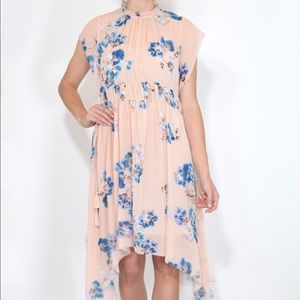 Ulla Johnson Luisa Floral-Print Silk Dress